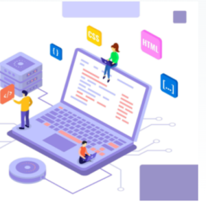 E-Commerce & E-Business -POST DIPLOMA